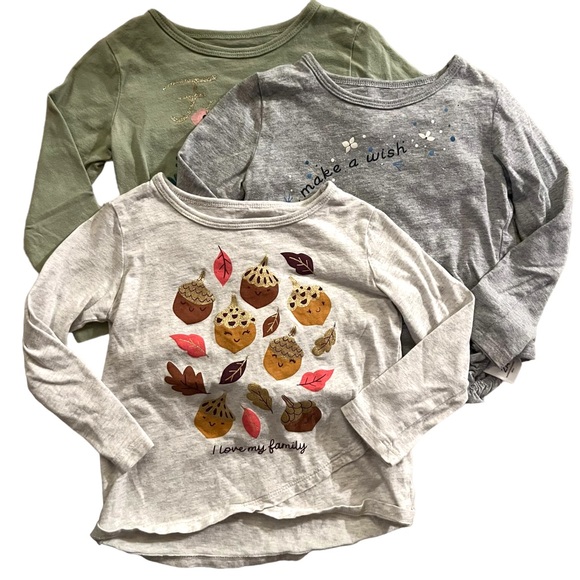 Carter's Shirts & Tops Carters 2t Toddler Girl Long Sleeve Shirt